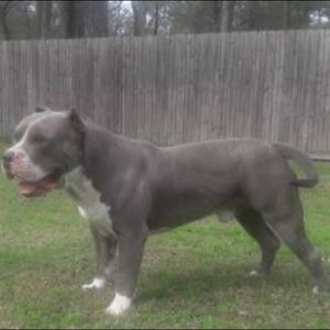 Meet your Posher, Jeremy